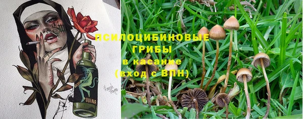 спайс Каменск-Шахтинский