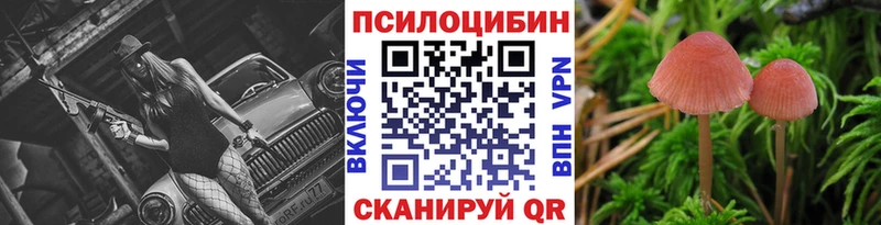 где можно купить наркотик  Буйнакск  Псилоцибиновые грибы Magic Shrooms 