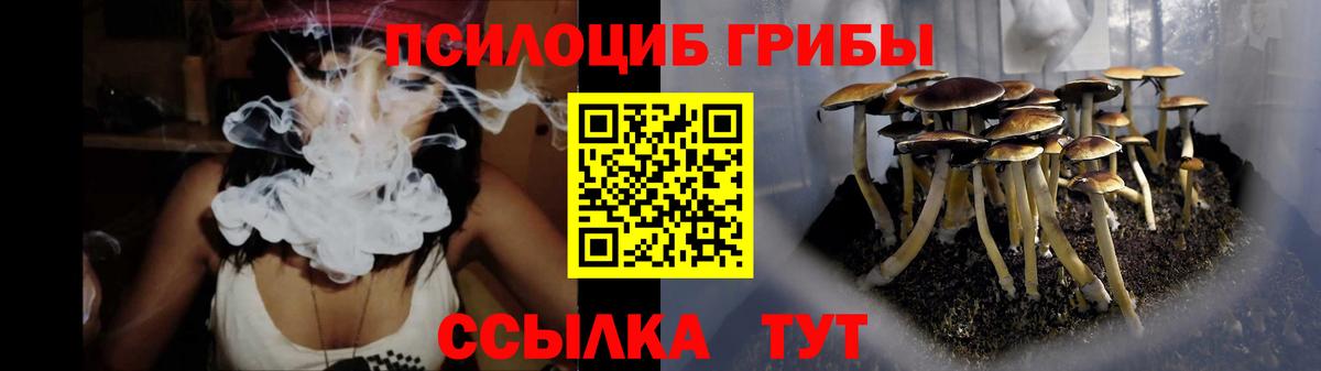 Галлюциногенные грибы Psilocybine cubensis  Псилоцибиновые грибы ЛСД  Буйнакск  Вход с VPN 
